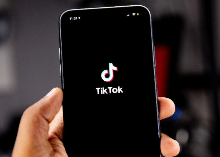 5 Cara, Mengecek Penghasilan Dari Akun TikTok Anda