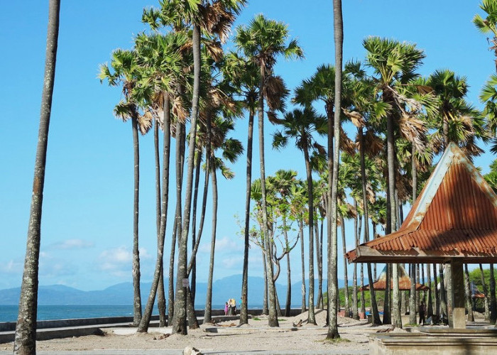 6 Rekomendasi Destinasi Wisata Untuk Liburan Keluarga di Kupang, Nusa Tenggara Timur