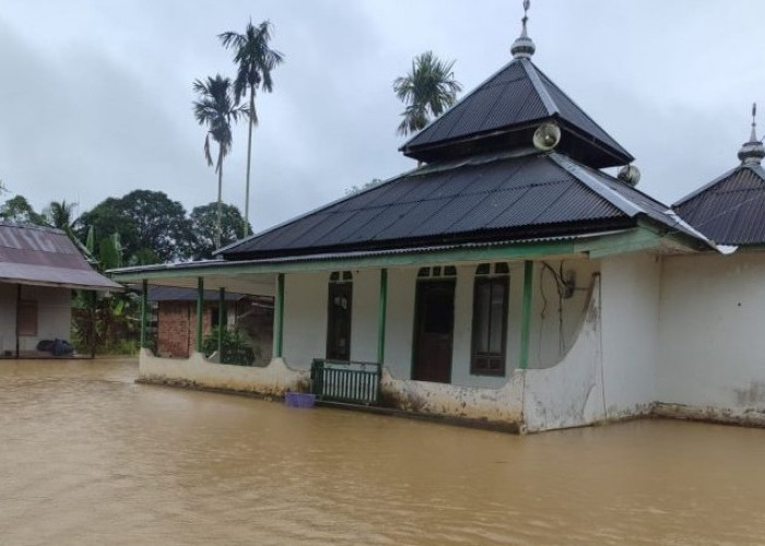  Diguyur Hujan Deras, Kawasan IKN Kebanjiran