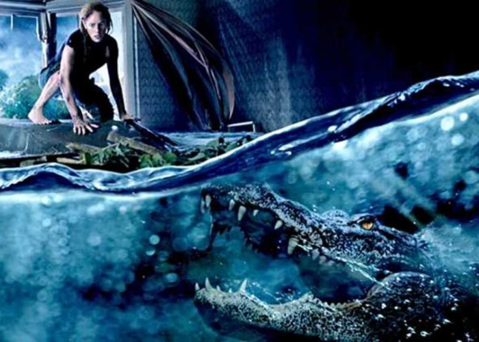Sinopsis Crawl 2019, Kisah Perjuangan Dave dan Haley untuk Selamat dari Ancaman Alligator