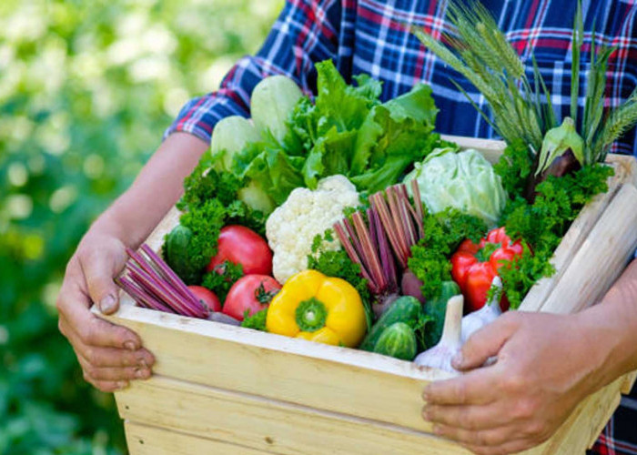 Sayur Box, Solusi Praktis dalam Menyediakan Sayuran Segar di Tengah Kesibukan