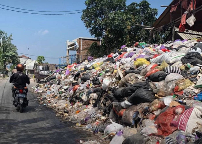 Viral! Tumpukkan Sampah Menggunung di Pinggir Jalan Bantul, DLH Buka Suara