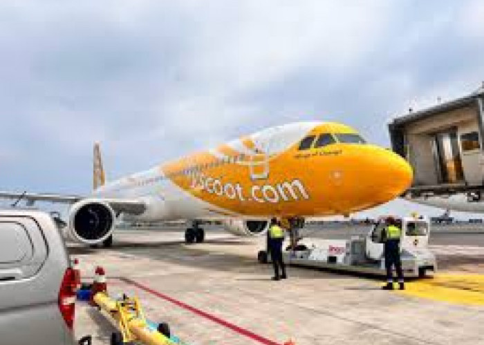 Hore, Aplikasi Tiket Online, Flyscoot Siapkan Tarif Hemat Pesawat Jakarta-Singapura Pulang Pergi (PP) 
