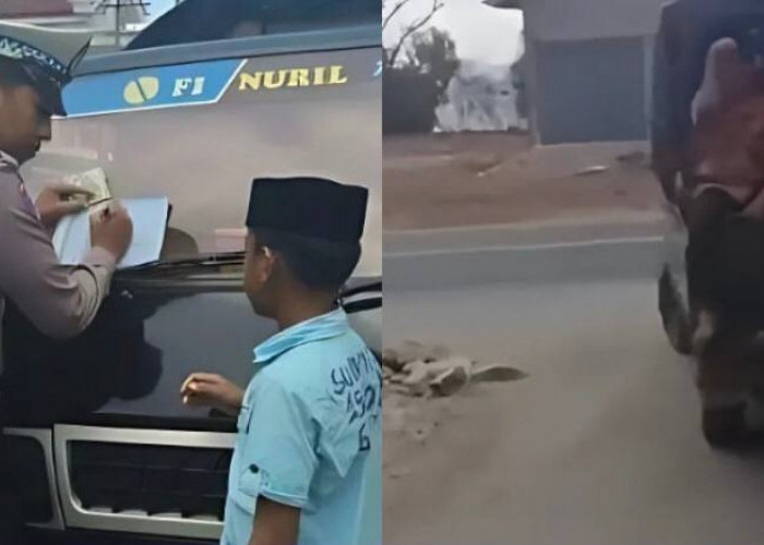 Viral! Bocah SD di Madura Ini Nekat Nyetir Mobil Pikap dan Angkut Teman Sekolah, Berujung Ditilang Polisi