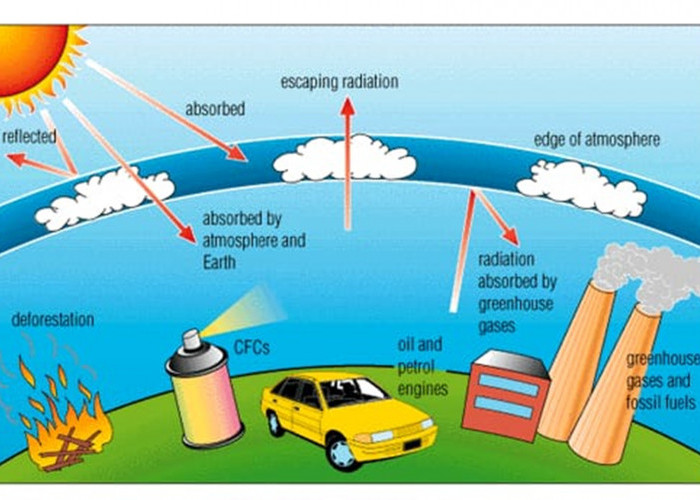 Pengertian Efek Rumah Kaca, Proses, Dampak dan Upaya untuk Mengurangi-nya !