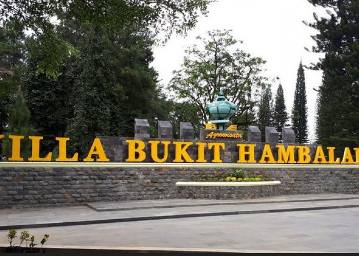 Agrowisata Villa Hambalang, Wisata Camping dan Outbond Dekat Jakarta