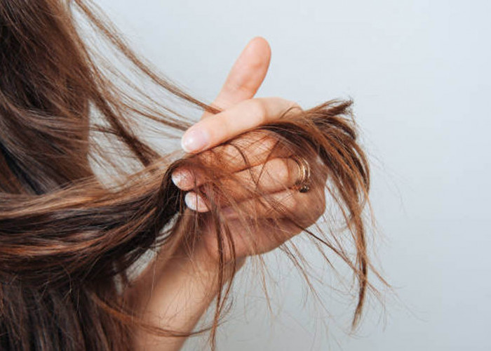 Rambut Kamu Rusak? Ini bisa jadi Penyebab Rambut Rusak yang mungkin harus kamu hindari!