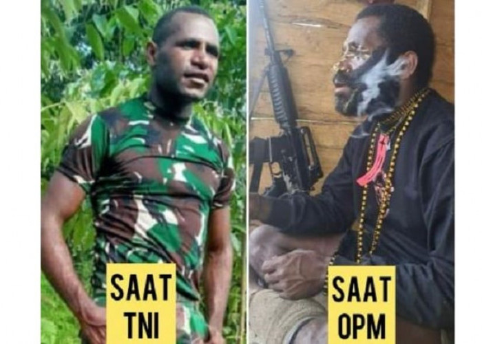 Anggota KKB Papua yang Ditembak Mati Aparat Keamanan, Ternyata Danis Murib Eks Anggota TNI, Ini Tampangnya