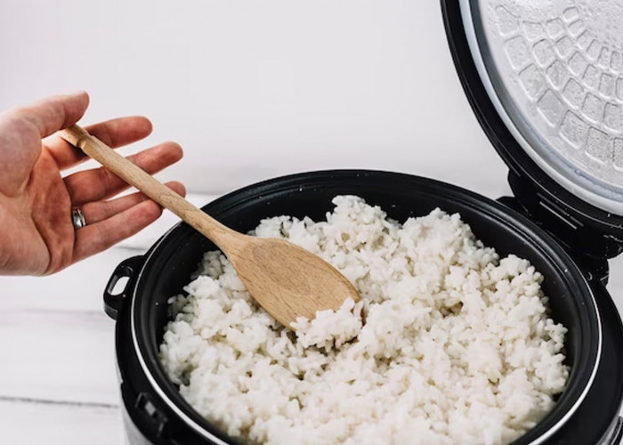 Perlu Diingat! Inilah Tips Memasak Nasi di Magicom Agar Tidak Mudah Basi dan Berbau