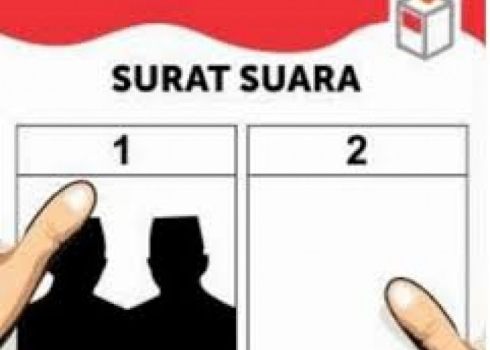 Banyak Calon Tunggal di Pilkada Serentak 2024, Perludem Ungkap Penyebabnya