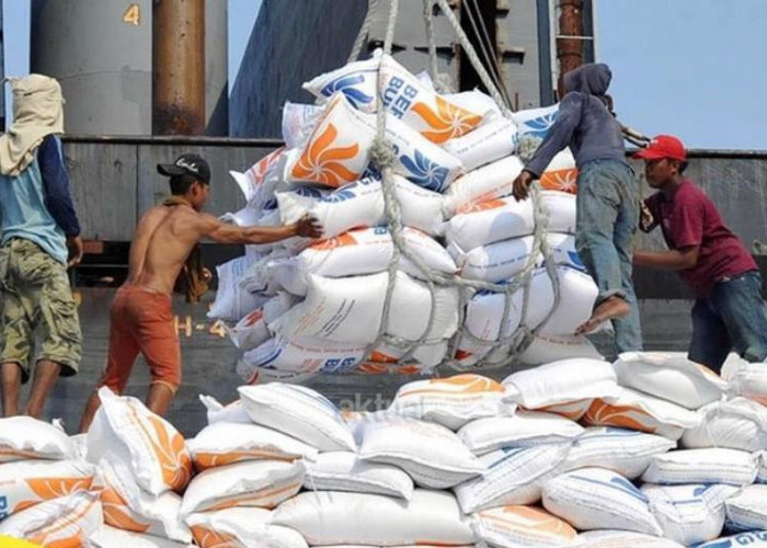 Tiba di Pelabuhan Patimban, 6.600 Ton Beras Impor dari Vietnam Banjiri Pasar Indonesia