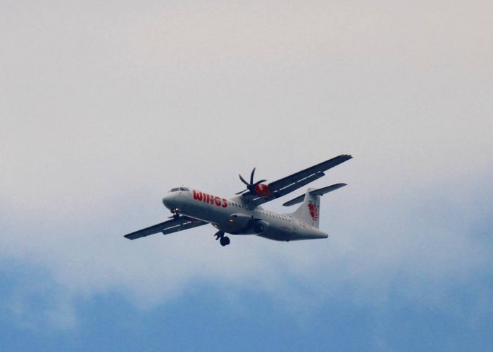 KKB Papua Tembaki Pesawat Wings Air yang Akan Mendarat di Dekai, Satu Orang Terluka