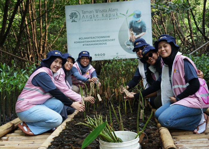Pelestarian Lingkungan, PLN Icon Plus Tanam Ratusan Mangrove di Jakarta