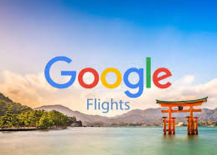 5 Langkah Anti Ribet Menggunakan Google Flights untuk Membeli Tiket Pesawat dan Hotel Hemat serta Murah