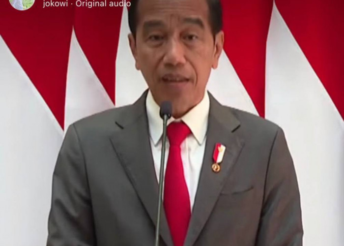 Ditanya soal Harga Beras, Jokowi: Jangan Terus Ditanyakan ke Saya