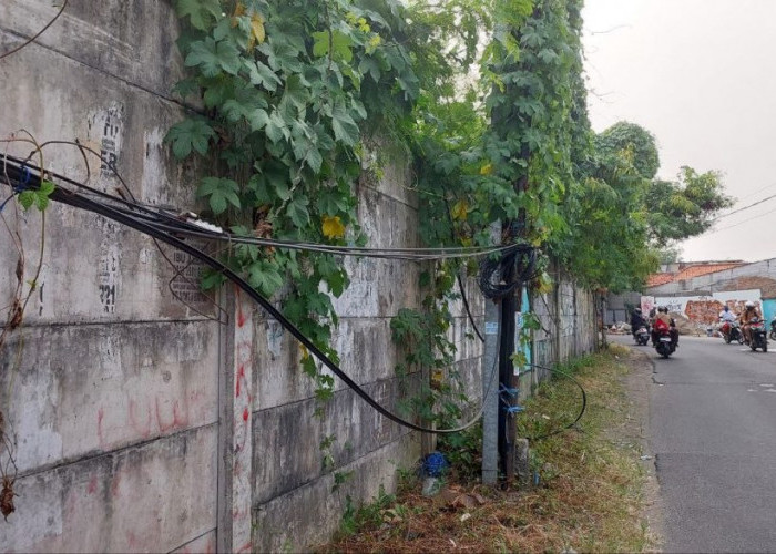 Jaga Estetika, DBMSDA Kota Bekasi Bakal Turunkan Kabel yang Melintang