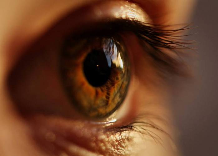 Mengenal Low Vision, Gangguan Mata yang Bikin Buta