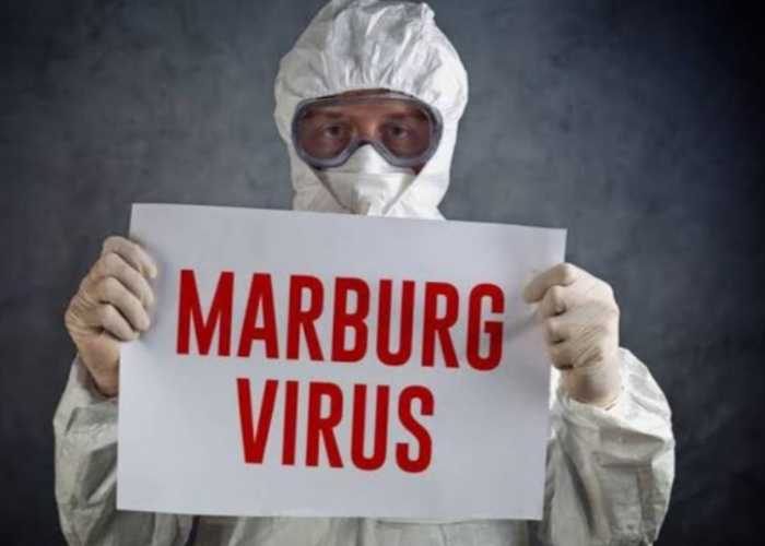 Bersiap jadi Pandemi: Virus Marburg, Penyakit yang Mengancam Kesehatan Global