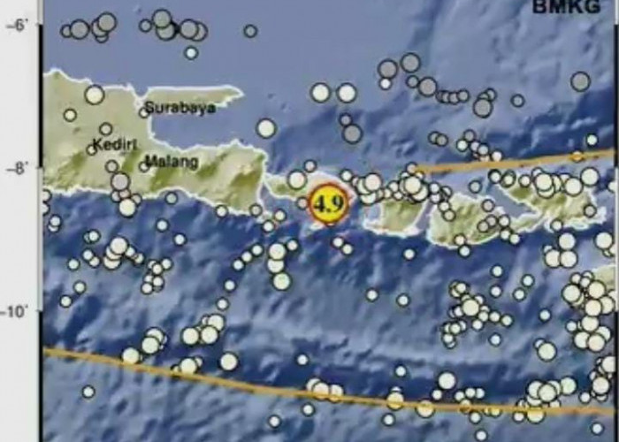 Breaking News! Bali Diguncang Gempa Berkekuatan 4,9 M, Terasa Hingga Lombok Barat