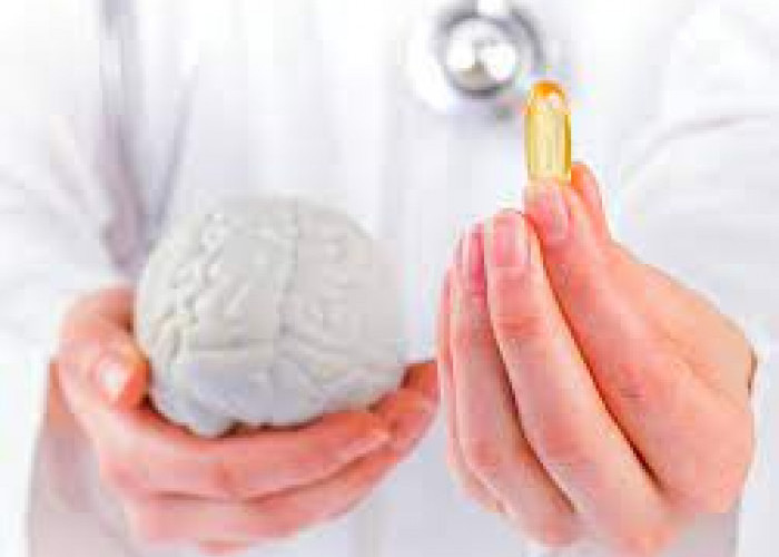 Otak yang Kuat dan Sehat, Memerlukan Vitamin Khusus Berikut 5 Macam Vitamin Otak Untuk  Hasilkan Kinerja Otak Lebih Baik 