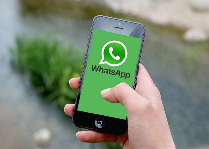 Kenali Apa Itu Whatsapp Beta 2023, Cara Join Serta Link Download Whatsapp Beta