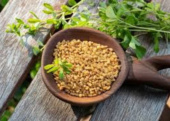 Manfaat Tumbuhan Herbal Fenugreek: Baik untuk Booster ASI hingga Tingkatkan Reproduksi Pria