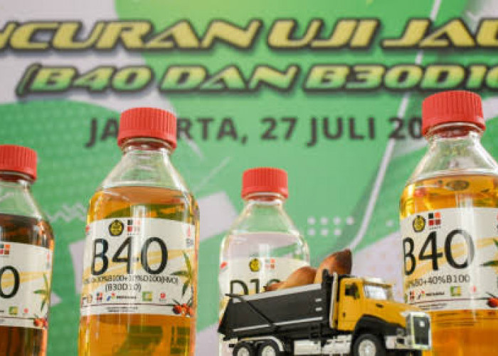 Pemerintah Mulai Pasarkan BBM B40 Januari 2025