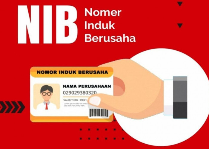 Cek NIB Perorangan : Cara Praktis dan Mudah untuk Mengurusnya