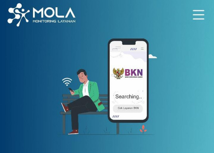 Selamat! Ini Dia Cara Cek Progres PPPK di MOLA BKN 2025