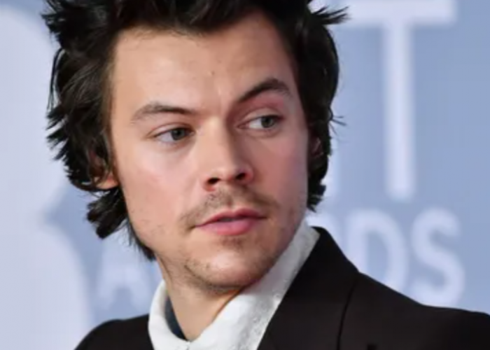 Siapa Artis Britania yang Terkaya saat ini? Harry Style Jawabannya