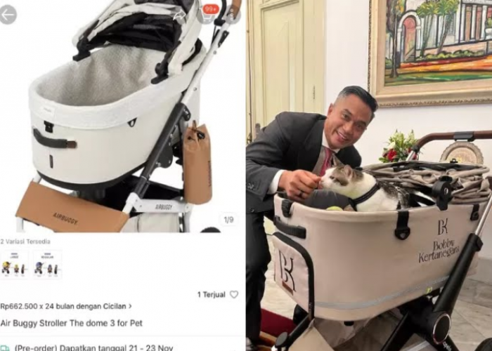 Cari Tahu Harga Stroller Bobby Kertanegara, Kucing Kesayangan Presiden Prabowo Subianto 