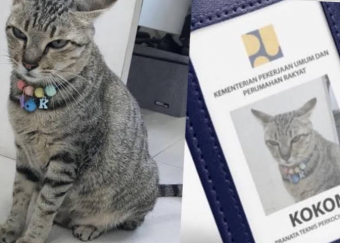 7 Pekerjaan Manusia yang Bisa Digantikan Kucing