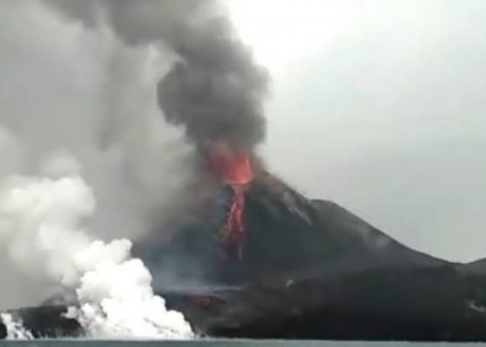 Gunung Anak Krakatau Erupsi dengan Status Siaga, Warga Diimbau Tak Beraktivitas dalam Radius 5 Km dari Kawah Aktif 