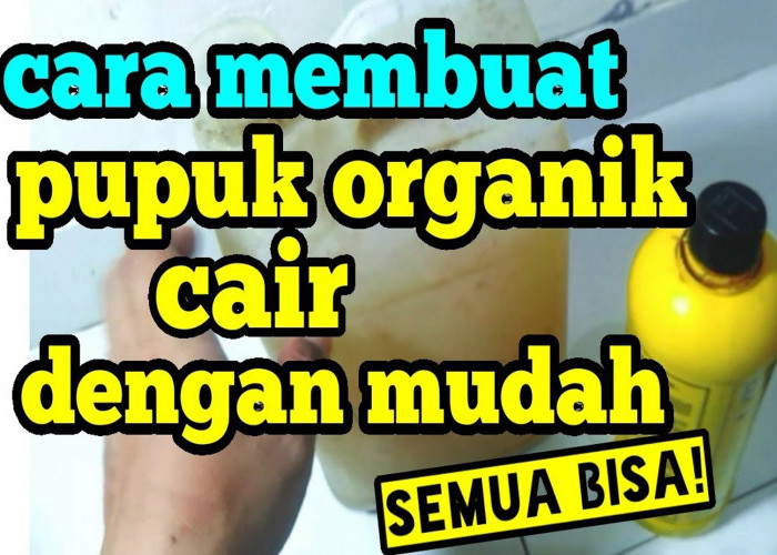 Cara Membuat Pupuk Organik Cair: Rahasia Mengoptimalkan   Pertumbuhan Tanaman Anda!