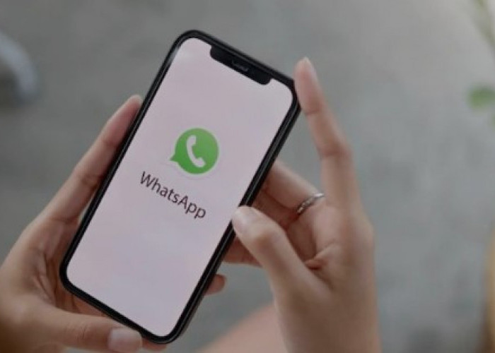 Waspada Penipuan! Ini Cara Membedakan Antara Akun Resmi Whatsapp dengan Akun Penipu