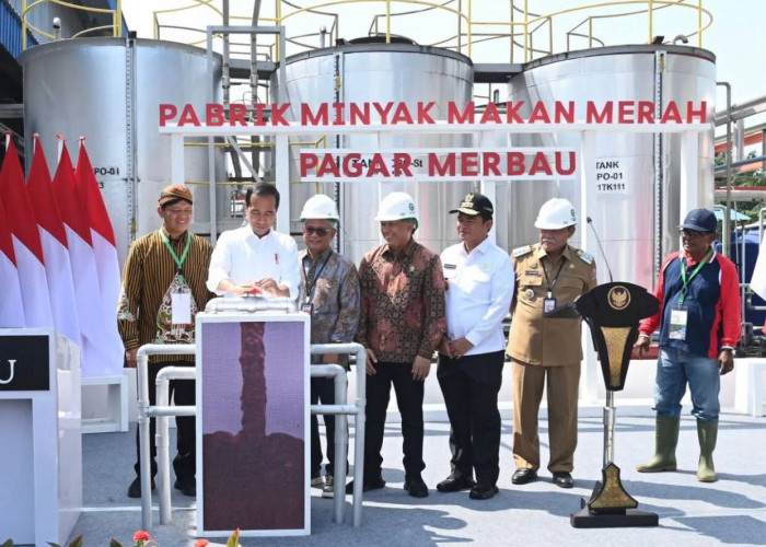 Jokowi Resmikan Pabrik Minyak Makan Merah, Produksi 7 ton Per Hari