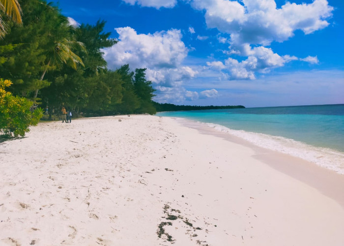 Keindahan Pantai Syota: Hidden Gem Pasir Putih di Maluku Barat Daya dan Kisah Munculnya Krite Gurita Raksasa