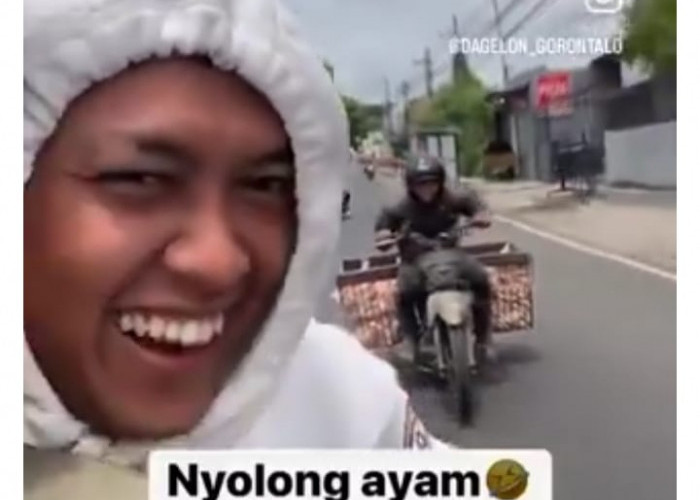 Viral Twitter! Maling Ayam Kejar-Kejaran dengan Korban, Ini Link Nontonnya