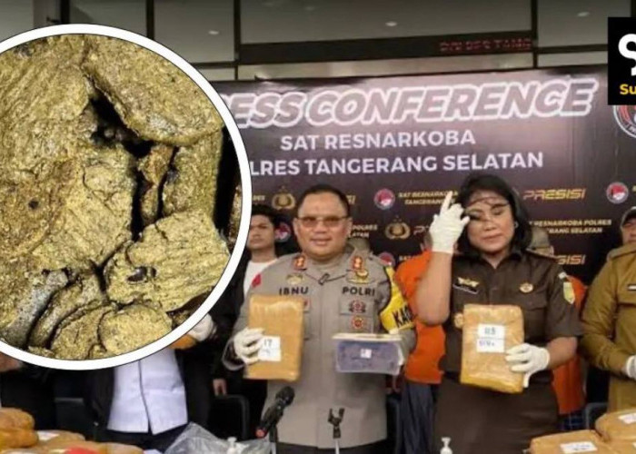 Mirip Cookies, Polisi di Purwakarta Berhasil Membongkar Pabrik Kue yang Ternyata Ganja 