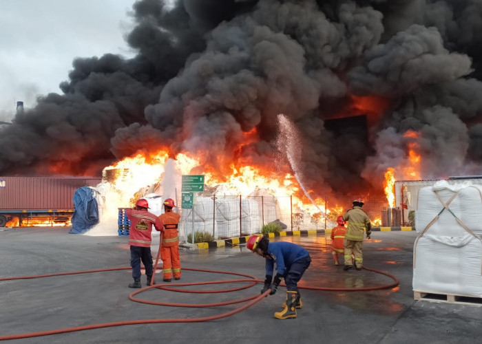 Detik-detik Kebakaran di PT Priscolin Bekasi, Sopir Truk Lolos dari Kebakaran Maut