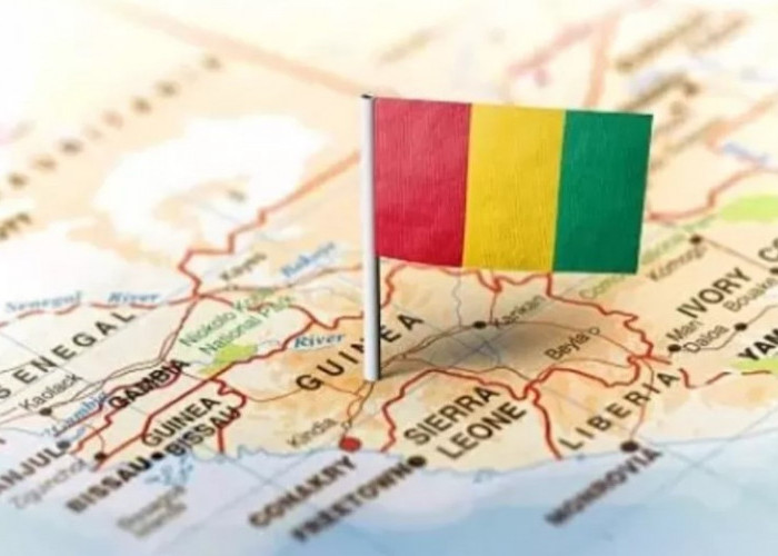 10 Fakta Menarik dari Guinea, Negara dengan Kekayaan Melimpah hingga Pernah Juara Piala Afrika