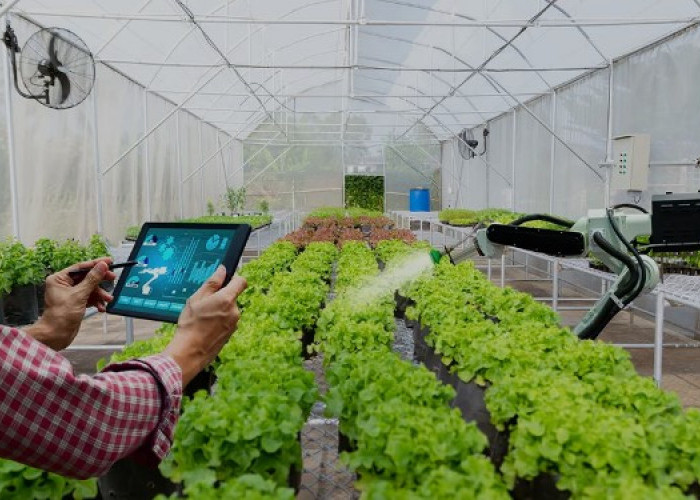 Inovasi Baru! Upaya Kerjasama Dalam Menigkatkan Kualitas Hasil Pertanian dengan Internet Of Things, Apa Itu?