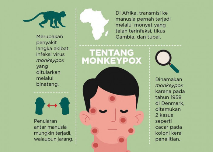Meningkatnya Kasus Cacar Monyet Di Jakarta, Inilah Gejala Serta Penyebab Dan Cara Mengatasinya