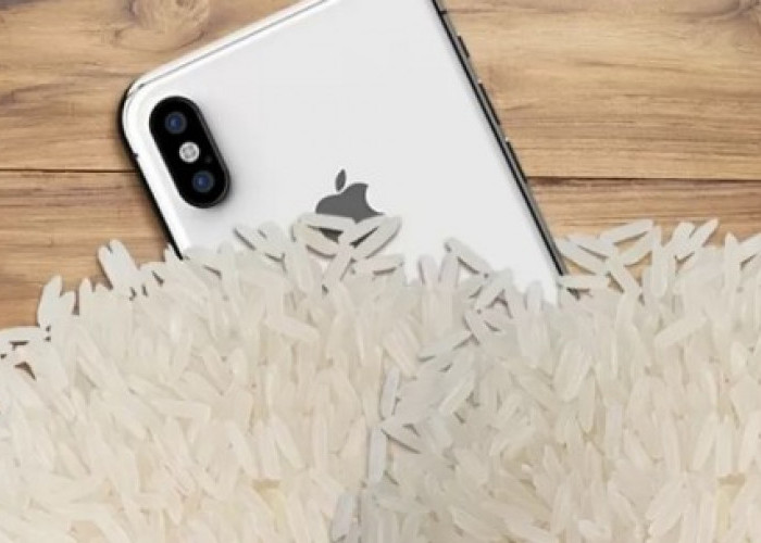 Kubur iPhone Basah di Beras Tidak Direkomendasikan, Ini Peringatan Apple 