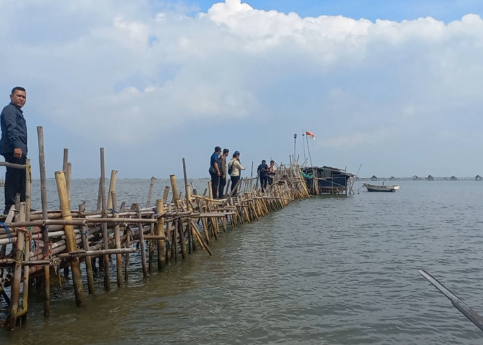 Ini Dia Orang-Orang yang Diduga Terlibat dan Perannya dalam Pemasangan Pagar Laut di Kabupaten Tangerang