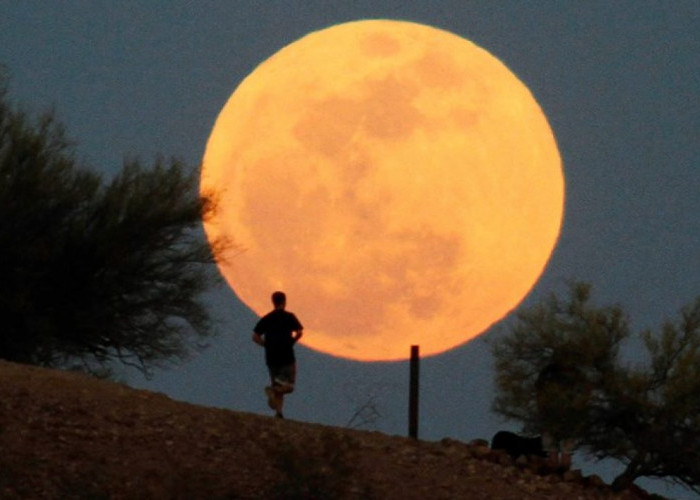 Jangan Lewatkan Fenomena Supermoon Bisa Disaksikan di Seluruh Indonesia Besok, Catat Waktunya