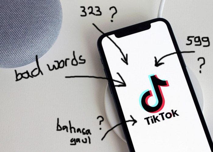 Arti 323, 4646, 599, 5353, Awas! Hati-hati Penggunaan Bahasa Gaul Tik Tok Ini