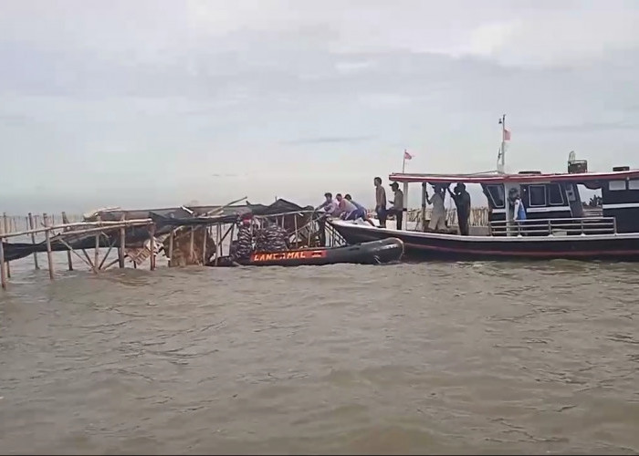 TNI AL dan Masyarakat Bongkar Pagar Laut di Pesisir Tangerang, Target Selesai 10 Hari 