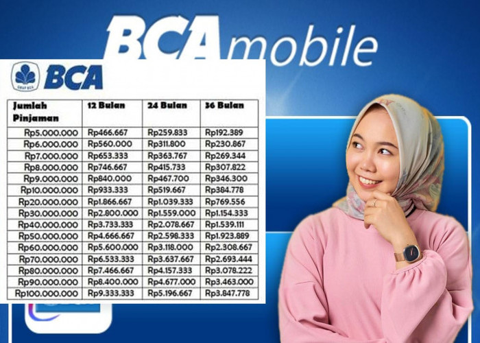 Pinjaman Online BCA, Solusi Cepat dan Mudah untuk Kebutuhan Keuangan-mu !