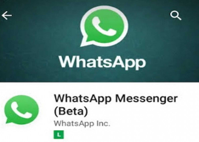 Link Download Whatsapp Beta Versi Terbaru For Android, Cek Disini